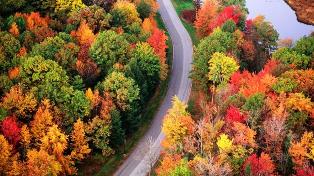 New-England-Foliage.rend.tccom.966.544